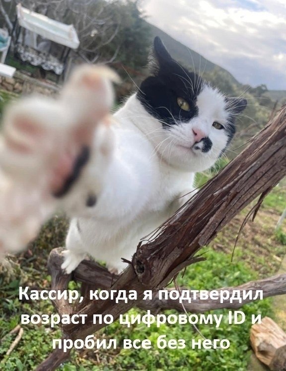 ������ - 4 ����� 2026 � 12:58