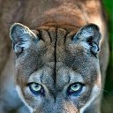 ���� ������ ���������, ������, 49 ��� - ��������� 24 ������ 2024 � ������ ���� ����������