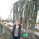  , --, 53  -  13  2025    