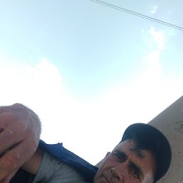 , 48, 