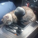 ���� �����, ��������, 65 ��� - ��������� 26 ���� 2025