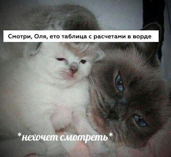 ����� ������ ������ ��� ����� � �����������. � ����-�� ������� ������� � ����� �������, � ���-�� ...