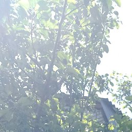 �����, ������������, 57 ���