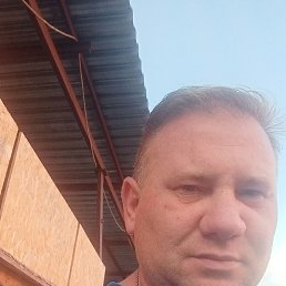 �������, �����, 44 ����