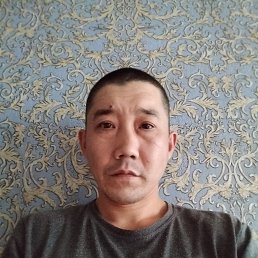 , 37, 