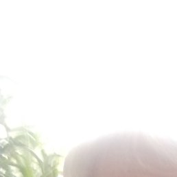 ��������, ��������, 61 ���