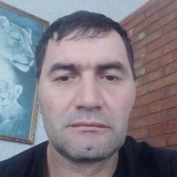 �������, �������, 44 ����