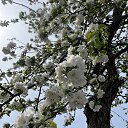 ���� D, ���, 24 ���� - ��������� 25 ������� 2023 � ������ ���� ����������