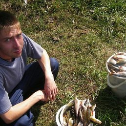 ������, ��������, 41 ���