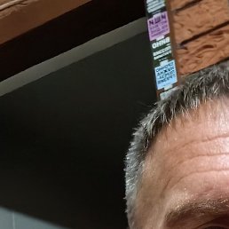 �������, ����, 41 ���