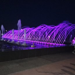 ���� ����, ���������, 85 ��� - ��������� 4 ������ 2024