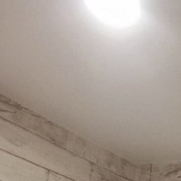 �������, ������������, 41 ���