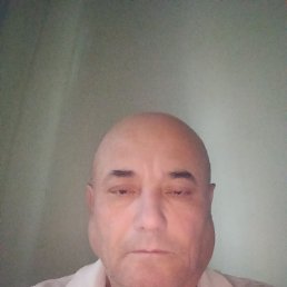 , 54, 