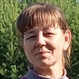 ���, ������������, 49 ���