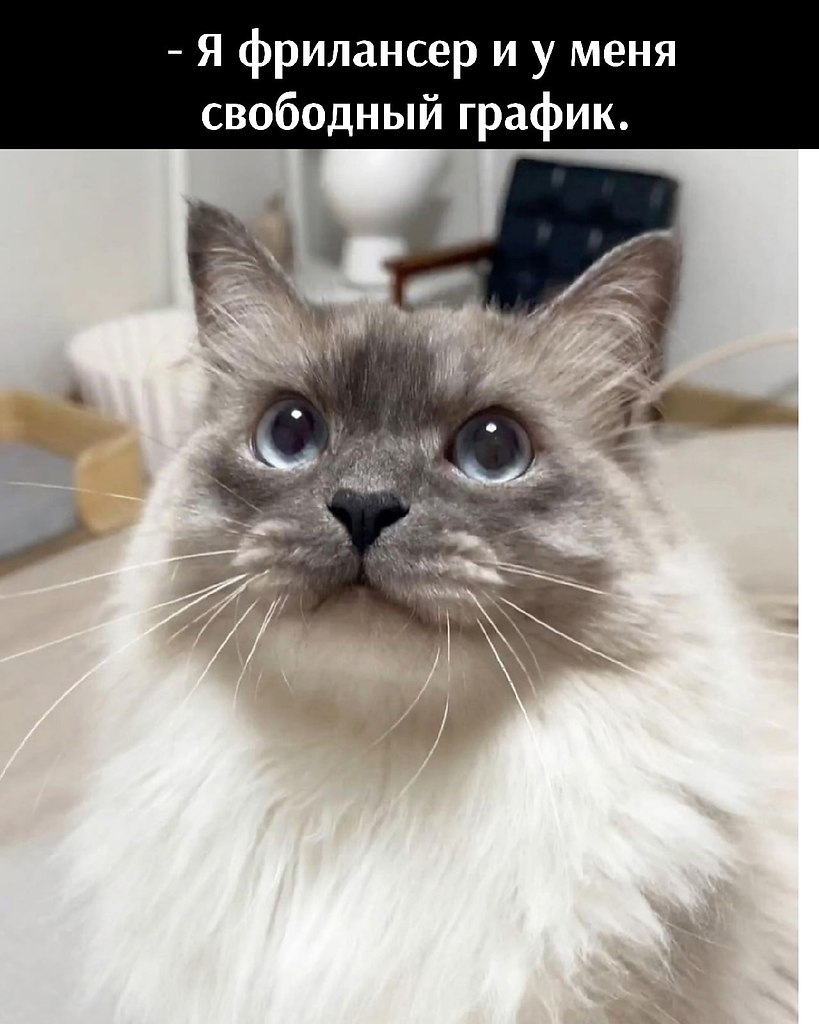       - 9  2025  12:36