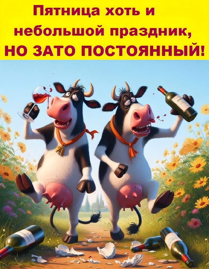  - 13  2024  18:12