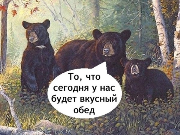    -  . - 17  2025  19:47 - 2