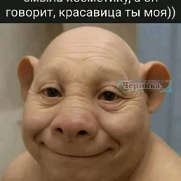 ������, ���������