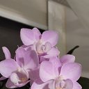 ���� �������, ������ - ��������� 14 ������� 2025 � ������ ���� �������