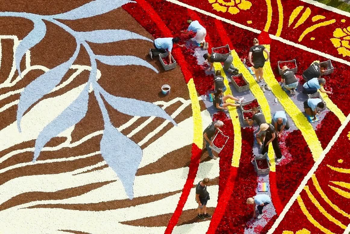 :) На площади Гран-Плас в Брюсселе выложили цветочный ковер в стиле модерн площадью 1,7 тыс. кв. м. ... - 2