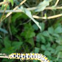 ���� �����, ���������, 50 ��� - ��������� 9 ������� 2025 � ������ �������� �������..�