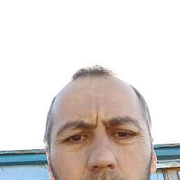 , 41, -