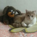 ���� Valia, ������ - ��������� 18 ������ 2025 � ������ ������ ��������