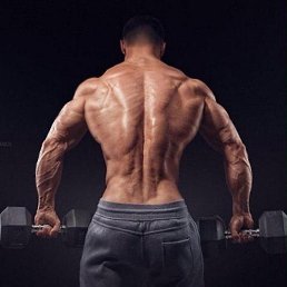 �����, ������, 49 ���