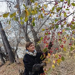 , 56, 