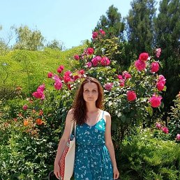 ����������, 40 ���, ������