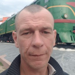 �������, ������, 41 ���