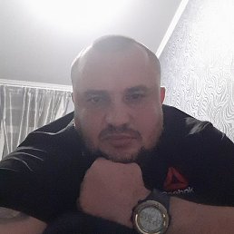 ����, �������, 41 ���