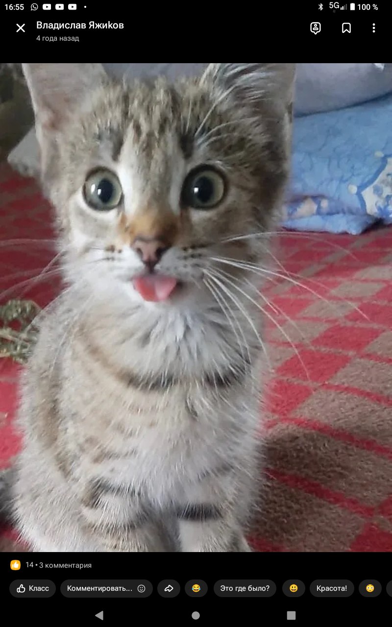 ��������� - 7 ������� 2025 � 19:07