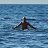 ���� ������, ����������� - ��������� 8 ������ 2026