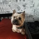 ���� �������, ������-��-����, 57 ��� - ��������� 19 ������ 2025 � ������ ������ ��������