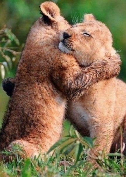 ��������� ���� ����� ����. ������. ������ � �� ����. ��� ��� �����! - 5