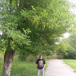 ���� ����������, ������, 47 ���