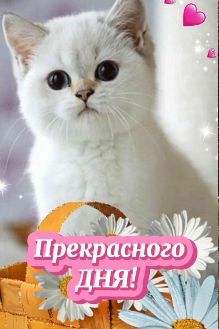 �������� - 5 ��� 2026 � 12:32