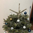 ���� �����, ������, 67 ��� - ��������� 29 ������ 2024 � ������ ������ ��������