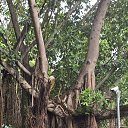 ���� ������, ������, 43 ���� - ��������� 7 ���� 2025