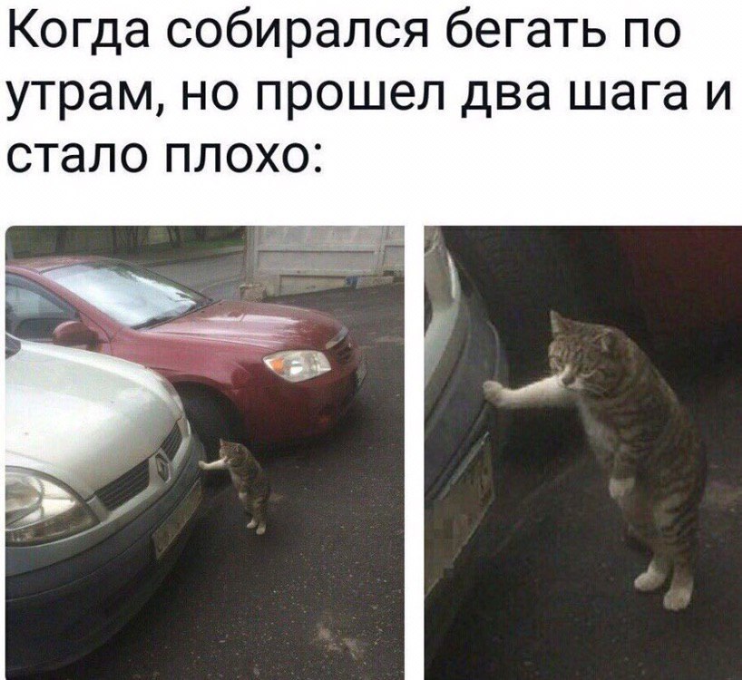    - 14  2023  06:20