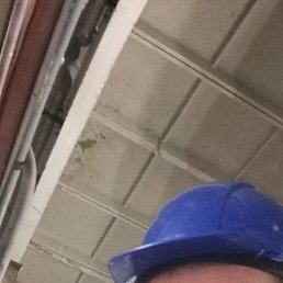 �������, 29 ���, ������������