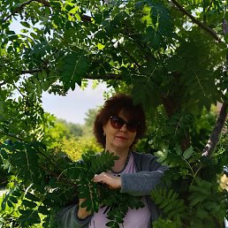 �����, ������, 55 ���