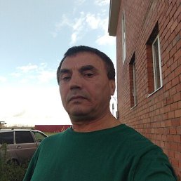 ������, 41 ���, ���������