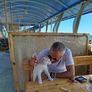 �����, 42 ����, ������