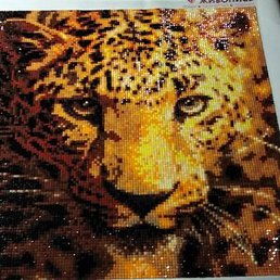 �������, ���������, 42 ����