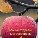 ���� ��������, ����, 68 ��� - ��������� 17 ���� 2024 � ������ ������ ��������