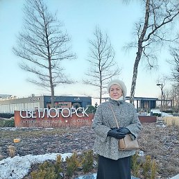 ����� (����� �������), �����������