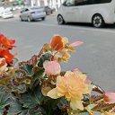 ���� ����, ������������ - ��������� 8 ������� 2024 � ������ ���� ����������