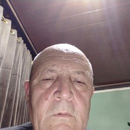 , 67, 